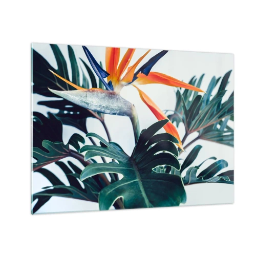 Schilderen op glas - Exotische plant met paradijsvogelbloem - 70x50cm - Vogelstruik - Moderne wanddecoratie voor woonkamer en slaapkamer ARTTOR