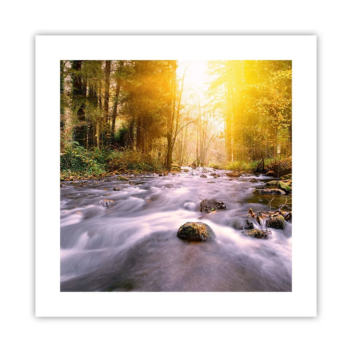 Poster - Malachiet in een zilveren en gouden lijst - 40x40 cm