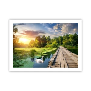 Poster - Zomer, zomer overal - 70x50 cm