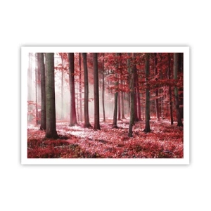 Poster - Rood is net zo mooi - 100x70 cm
