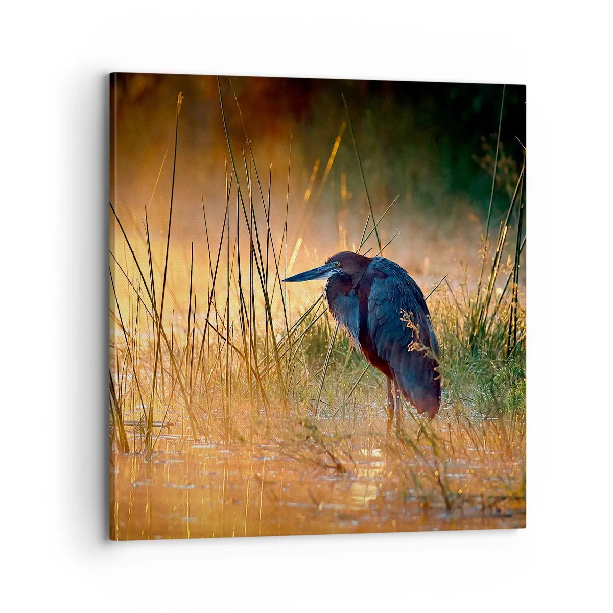 Schilderen op canvas - Kom op, geef me een pauze met deze foto's - 70x70 cm