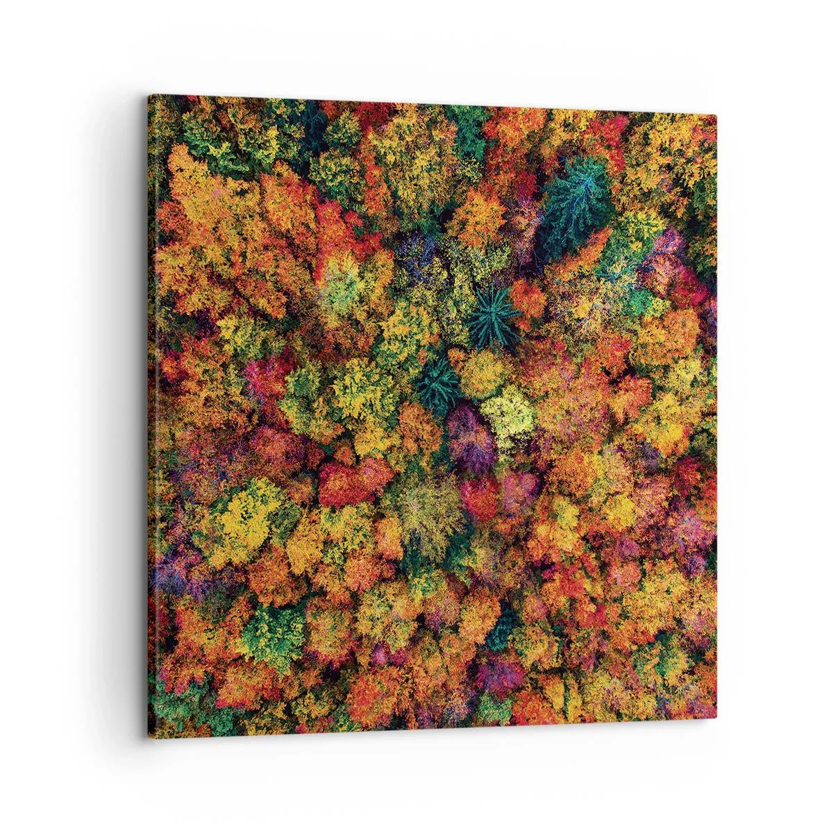 Schilderen op canvas - Boeket herfstbomen - 60x60 cm