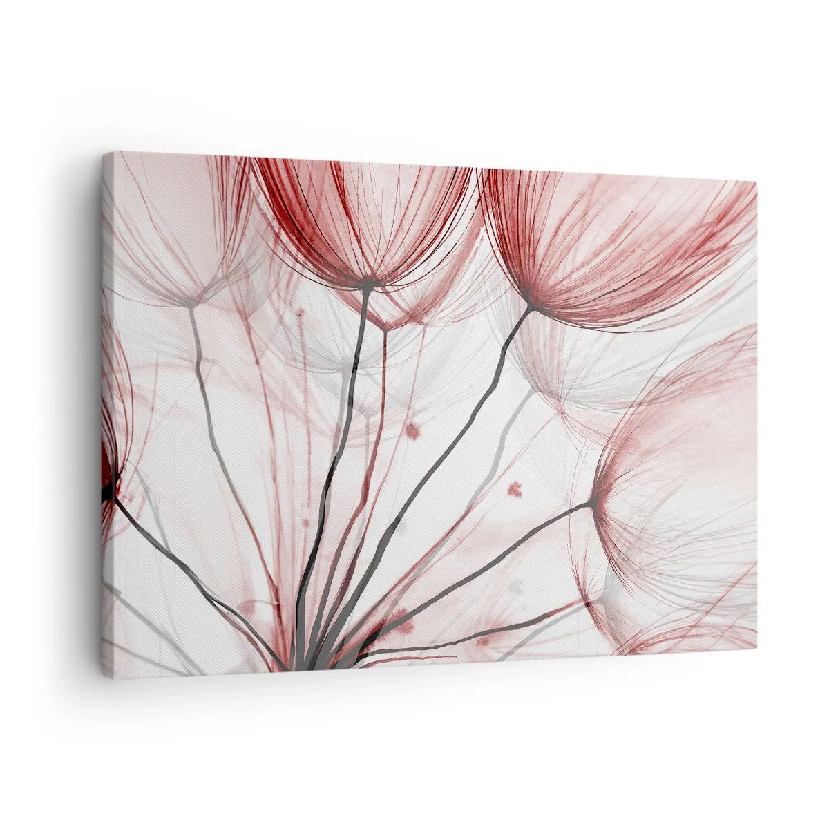 Schilderen op canvas - Delicate bloemen in tinten rood op een lichte achtergrond - 70x50cm - Vóór het vertrek - Moderne wanddecoratie voor woonkamer en slaapkamer ARTTOR