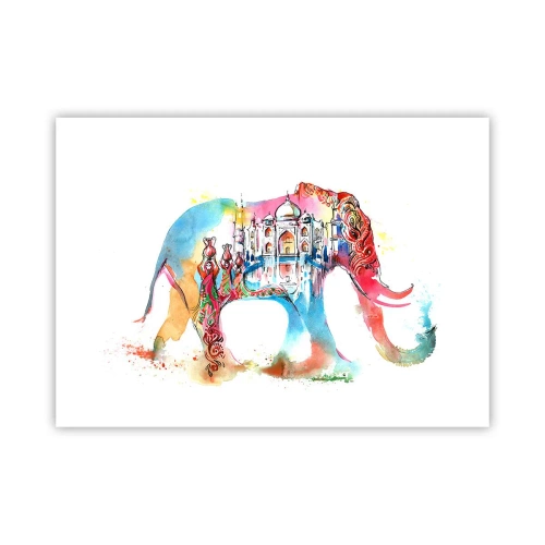 Poster - India - de uitstraling van liefde - 70x50 cm