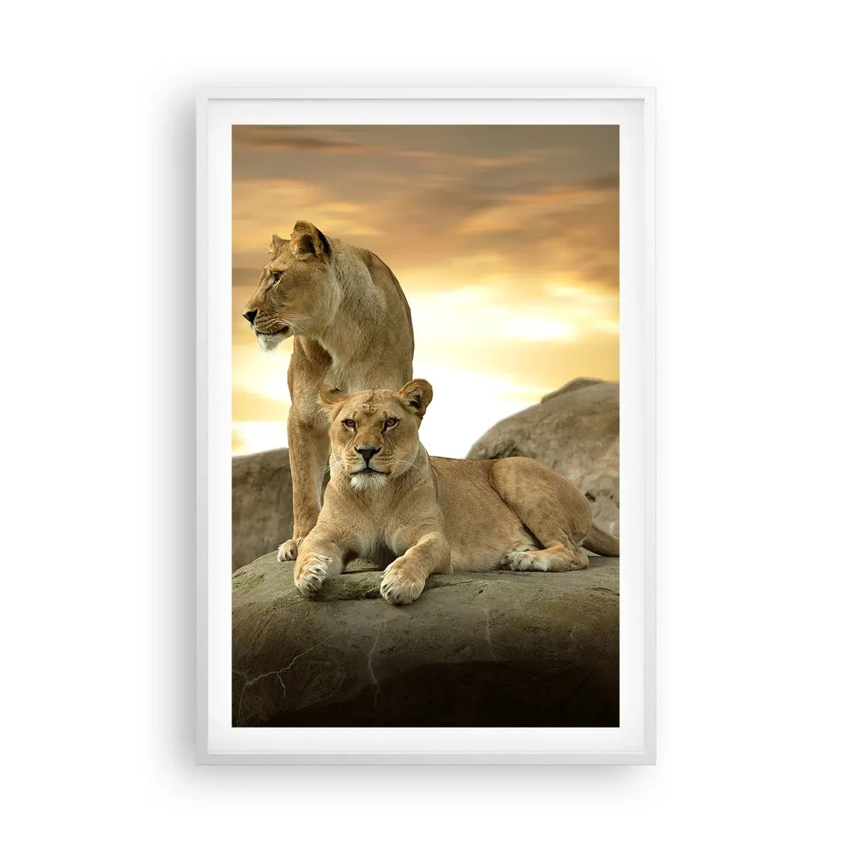 Poster in een witte lijst - Koninklijke majesteit - 61x91 cm