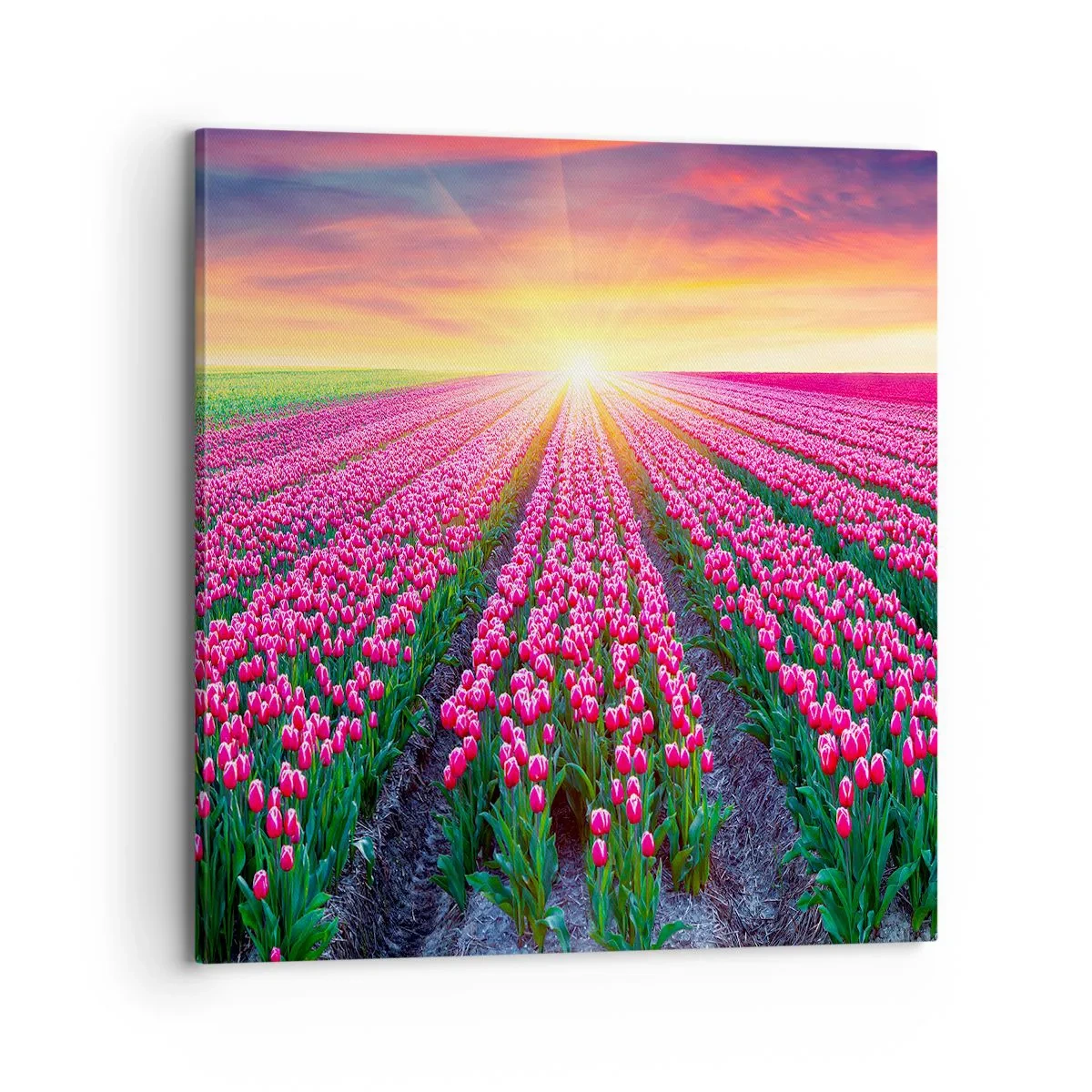 Schilderen op canvas - Beautyfarm - 70x70 cm