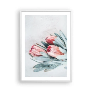 Poster in een witte lijst - Schaamt zich voor hun eigen schoonheid - 50x70 cm