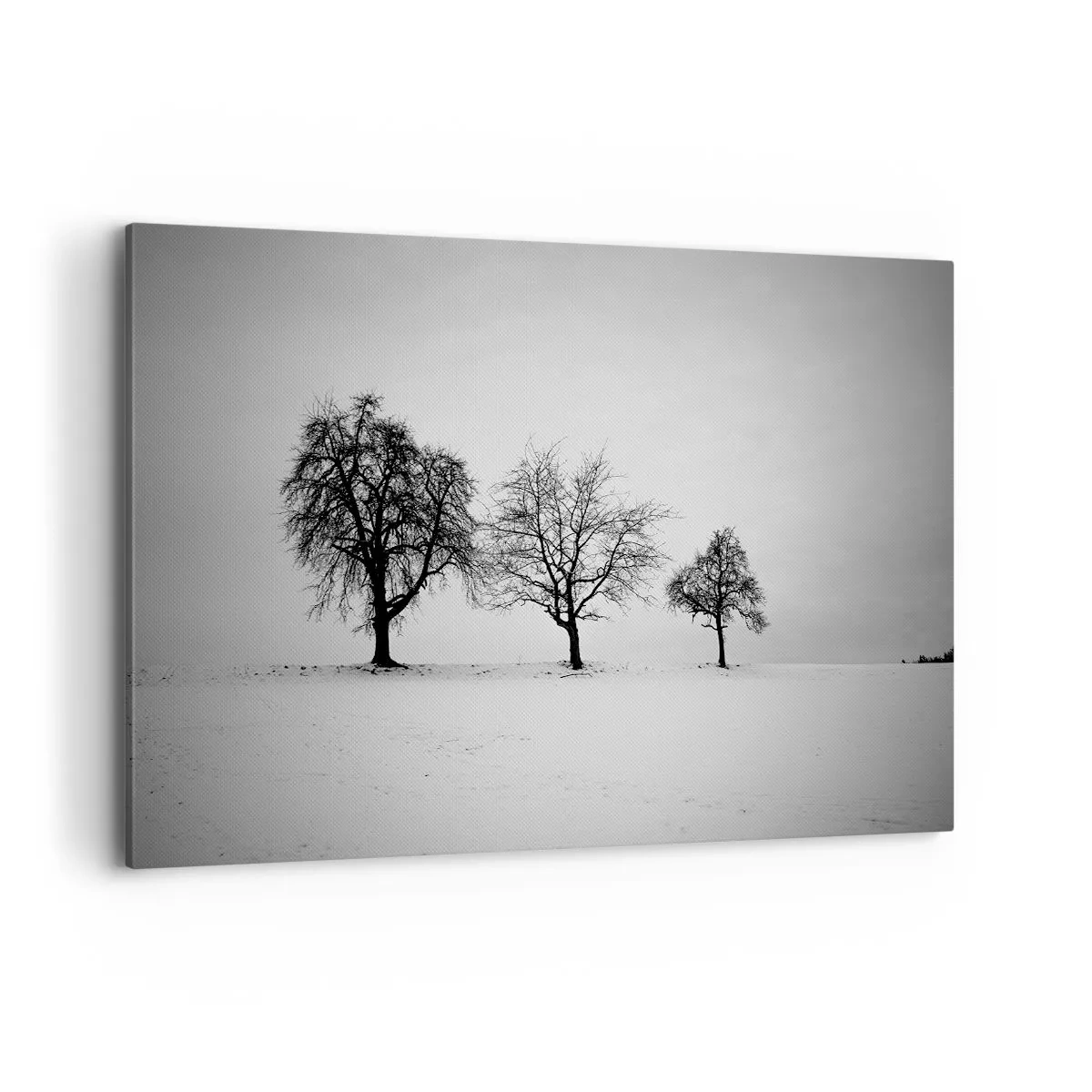 Schilderen op canvas - Waar dromen ze over? - 120x80 cm