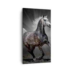 Schilderen op canvas - Grijs is mooi - 45x80 cm