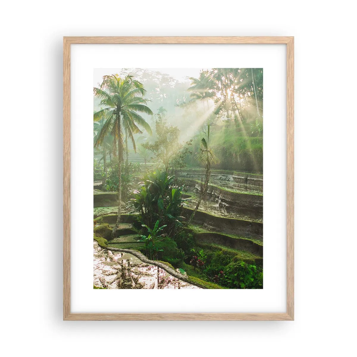 Een poster in een licht eiken lijst - Opgroeien in de zon - 40x50 cm