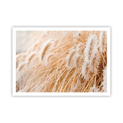 Poster - Het gouden geritsel van het gras - 100x70 cm