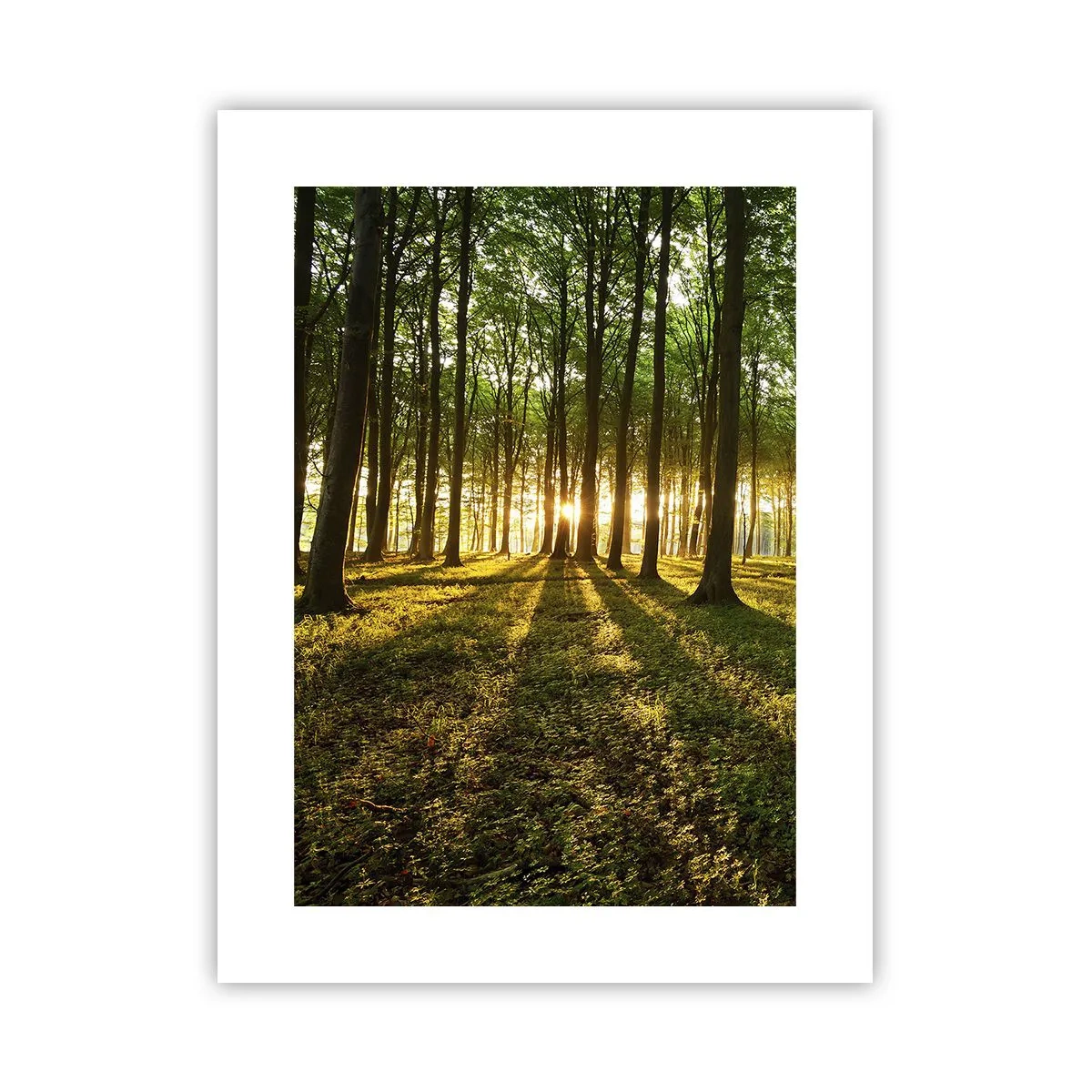 Poster - Foto van de hele lente - 30x40 cm
