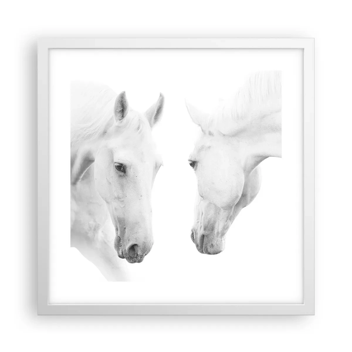 Poster in een witte lijst - Is dit vriendschap...? - 40x40 cm