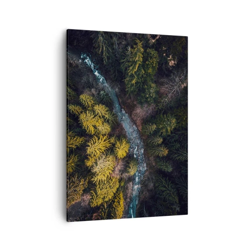 Schilderen op canvas - Snel, sneller en sneller - 50x70 cm