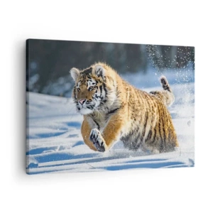 Schilderen op canvas - Een Siberische tijger rent door een besneeuwd landschap - 70x50cm - God van de Siberische taiga - Moderne wanddecoratie voor woonkamer en slaapkamer ARTTOR