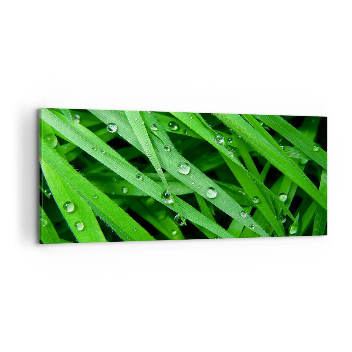 Schilderen op canvas - Speel groen - 120x50 cm