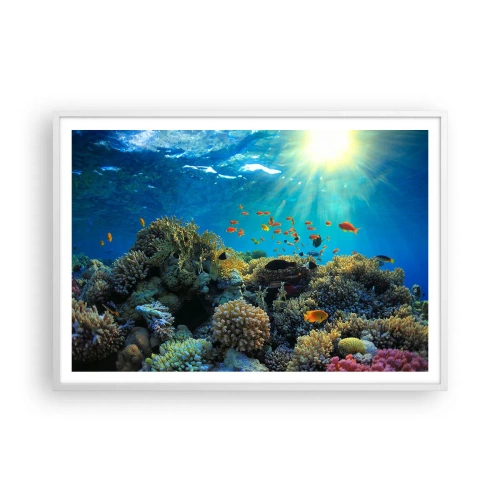 Poster in een witte lijst - Onderwater schatten - 100x70 cm