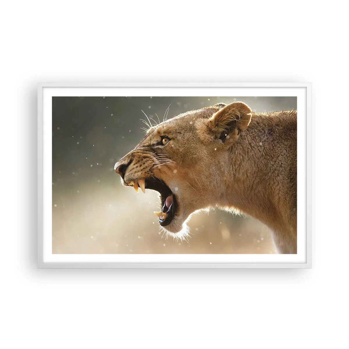 Poster in een witte lijst - Probeer niet te luisteren - 91x61 cm