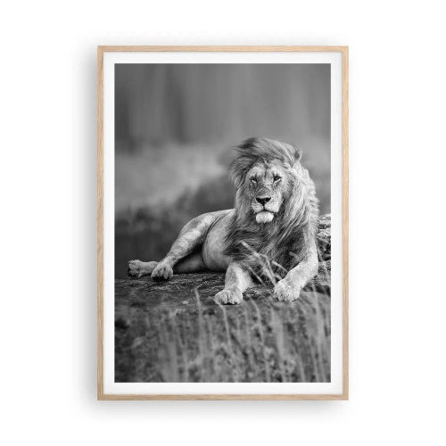 Een poster in een licht eiken lijst - Koninklijke siësta - 70x100 cm