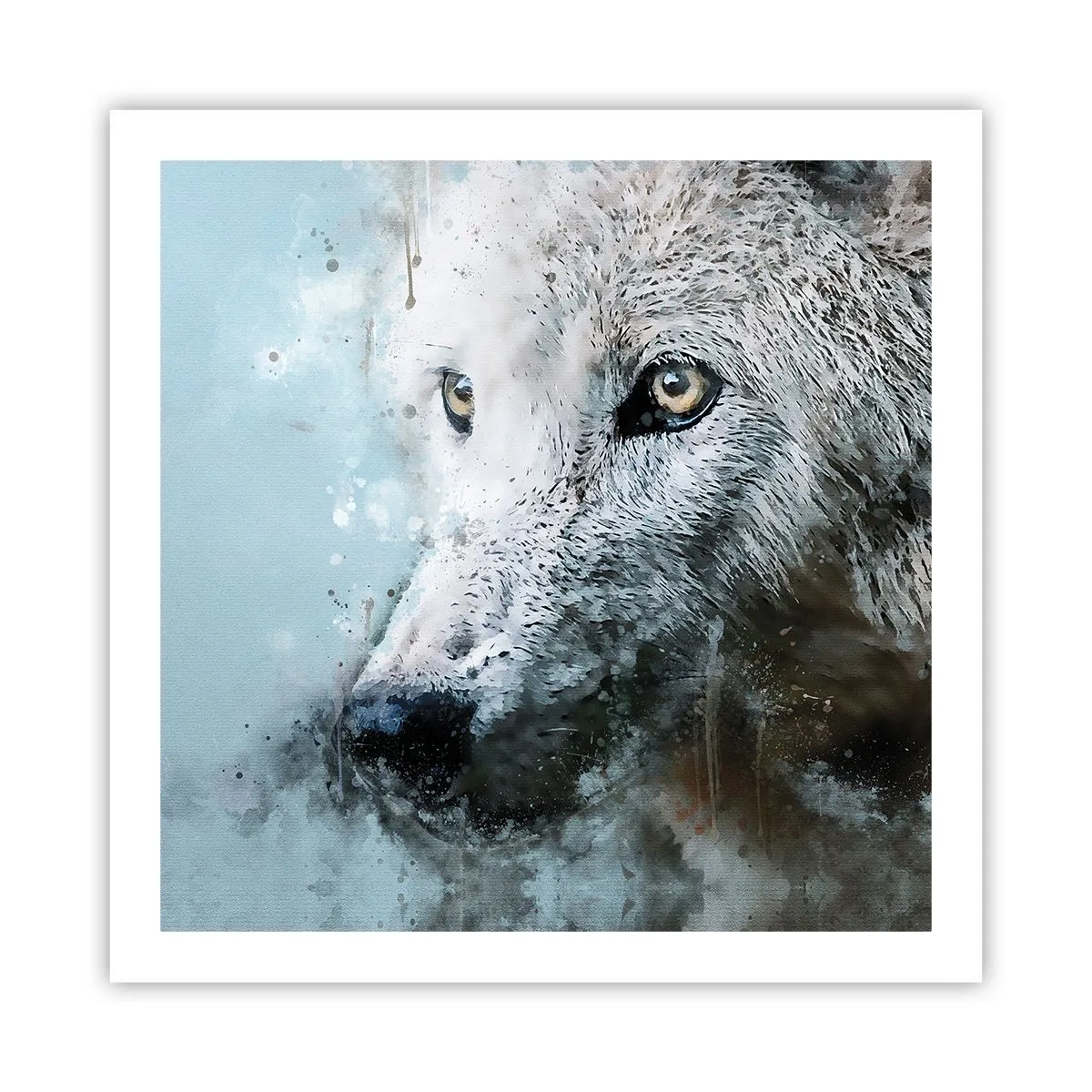 Poster - Ontmoet de wolvenziel - 60x60 cm