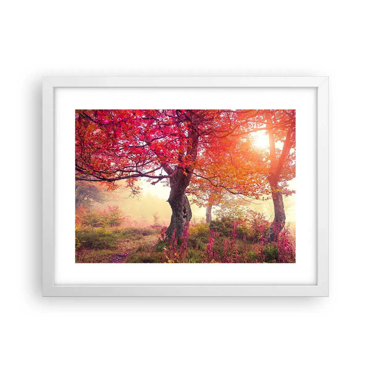 Poster in een witte lijst - Bloeiende razernij - 40x30 cm