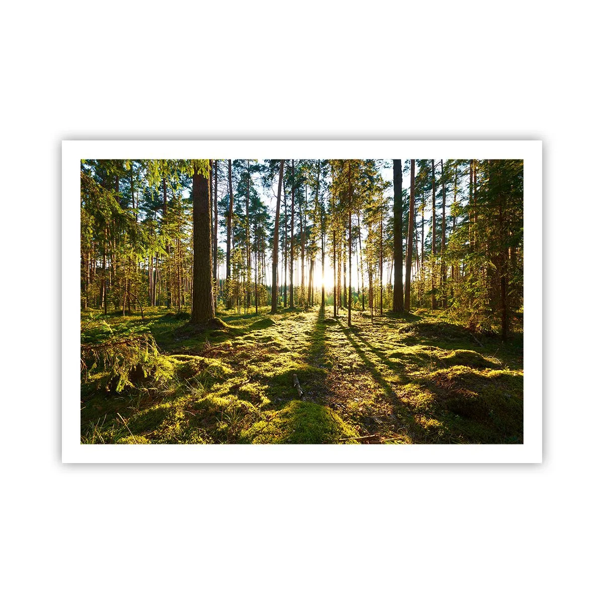 Poster - … Achter de zeven bossen - 91x61 cm