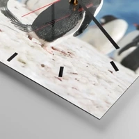 Dash schild