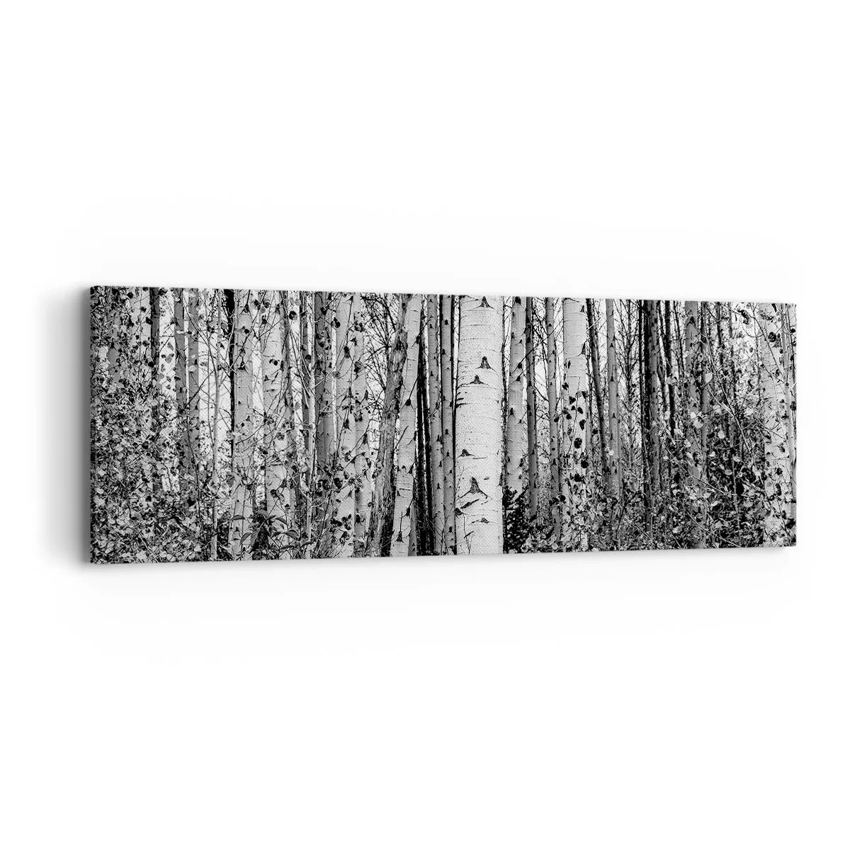 Schilderen op canvas - Berken colonnade - 90x30 cm