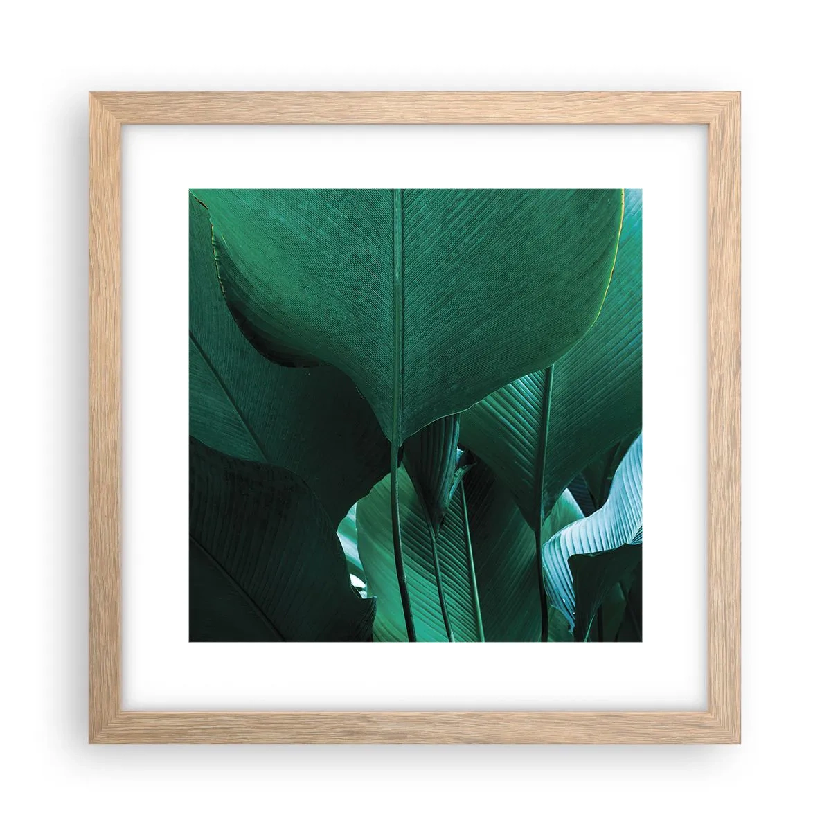 Een poster in een licht eiken lijst - Naar het licht gekeerd - 30x30 cm