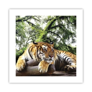 Poster - Met vriendelijke groet - 40x40 cm