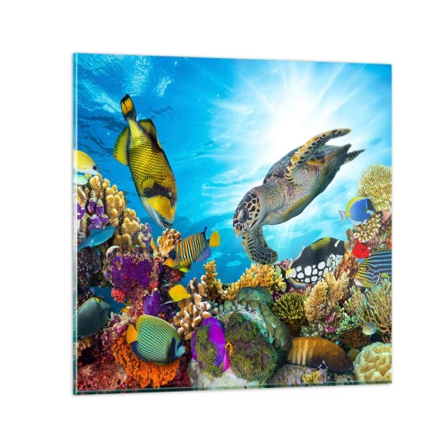 Schilderen op glas - Koraalpromenade - 70x70 cm