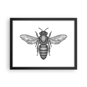Poster in een zwarte lijst - Insectenportret - 40x30 cm