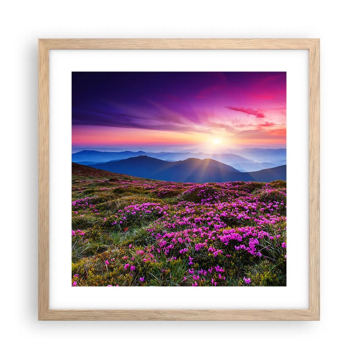 Een poster in een licht eiken lijst - Kruiden roken naar verse trossen van de velden - 40x40 cm
