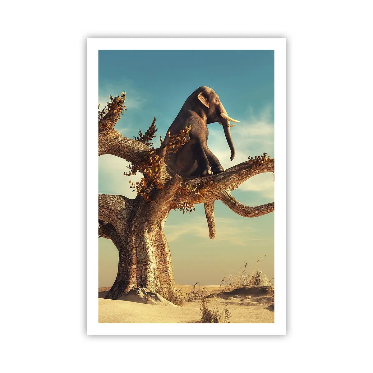 Poster - Een nieuw gezichtspunt - 61x91 cm