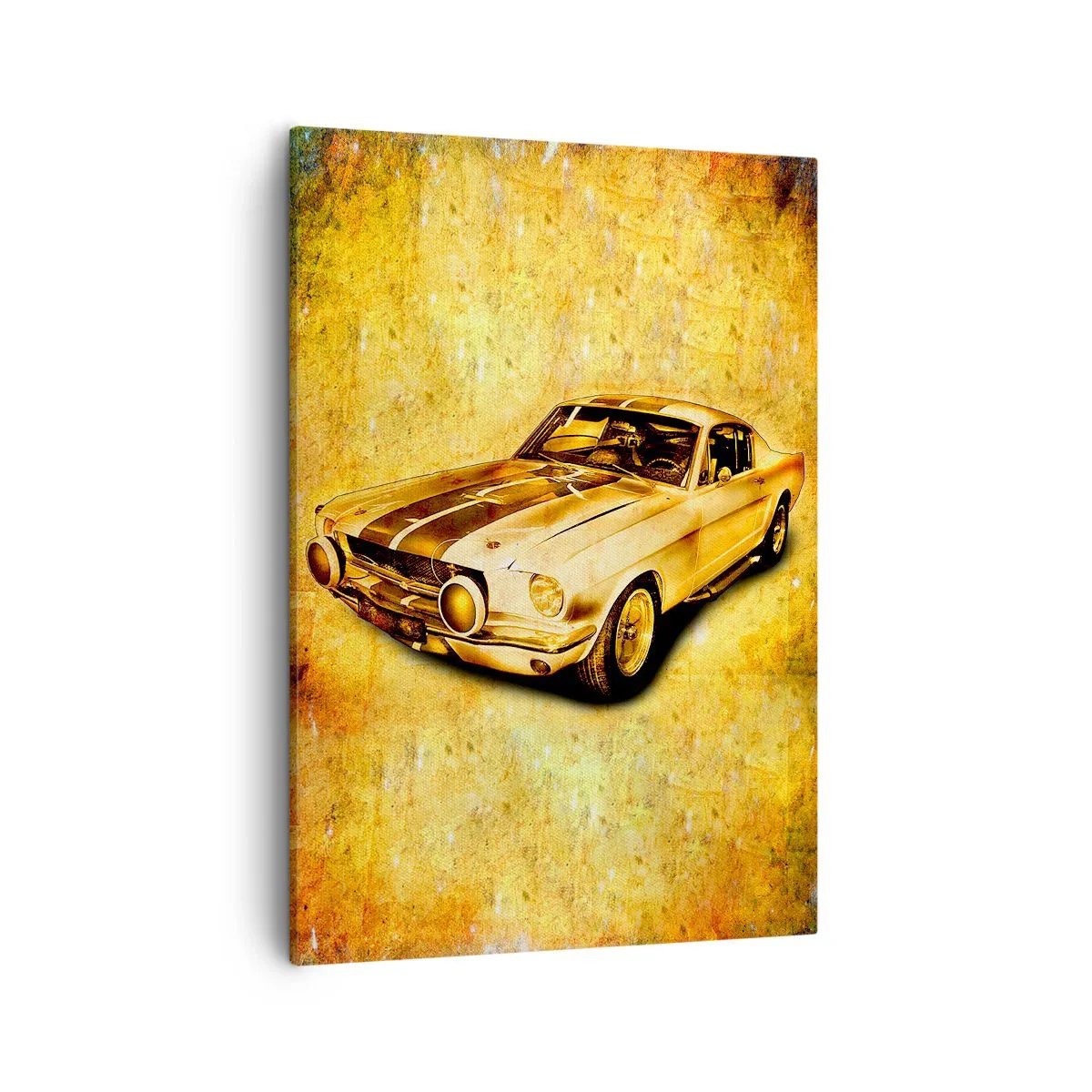 Schilderen op canvas - Gekke jaren 70 - 50x70 cm