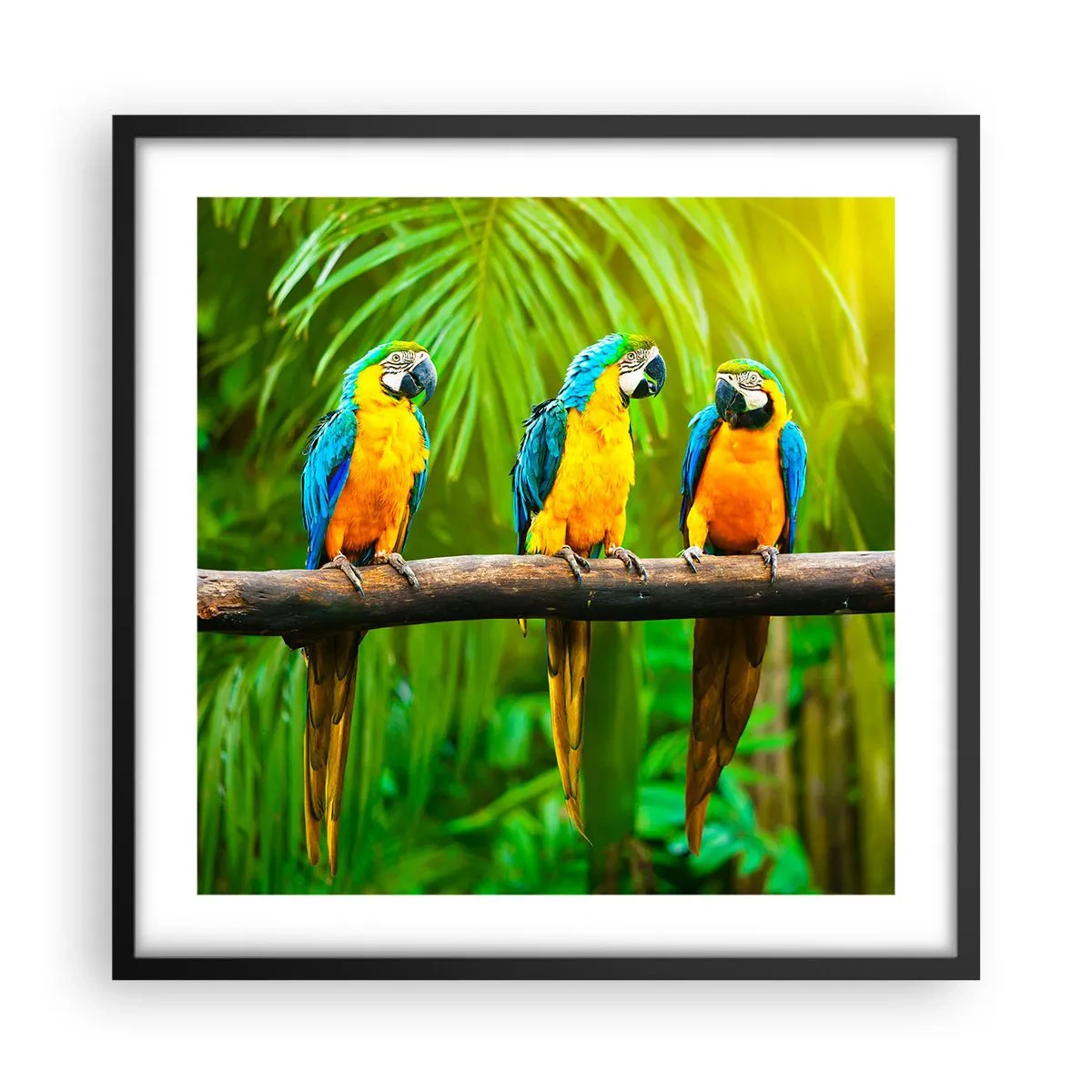 Poster in een zwarte lijst - En heb je gehoord dat ze...? - 50x50 cm