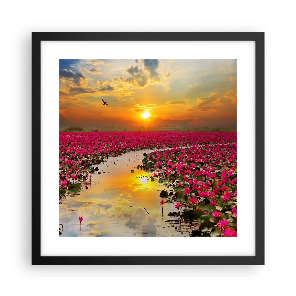 Poster in een zwarte lijst - Het geheime leven van het meer - 40x40 cm