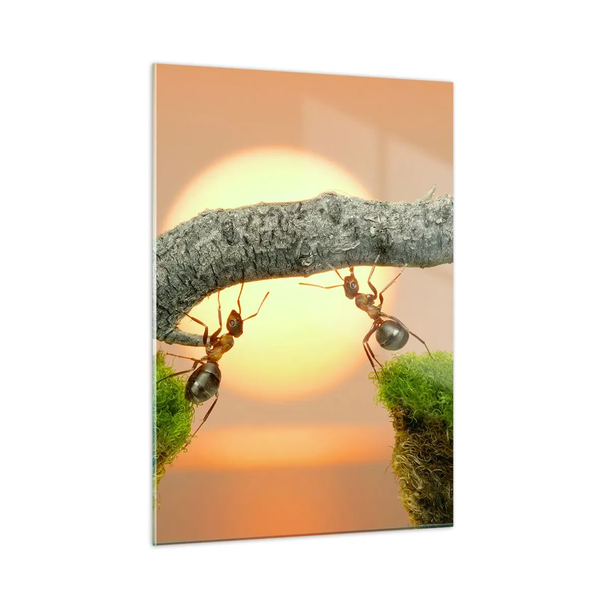 Schilderen op glas - Gelukkig samenwerken - 50x70 cm