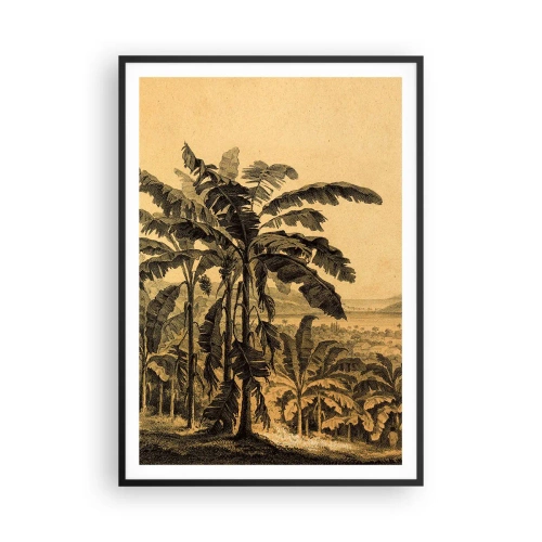 Poster in een zwarte lijst - in een koloniaal klimaat - 70x100 cm