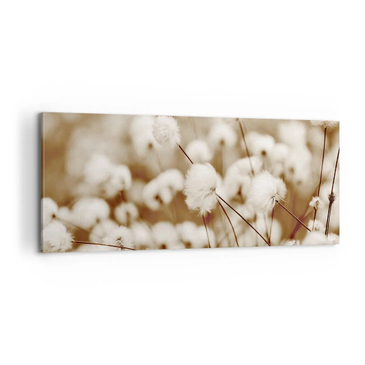 Schilderen op canvas - Pluizig korenveld - 100x40 cm