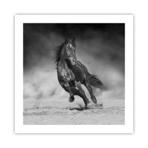 Poster - De emir zelf waardig - 50x50 cm
