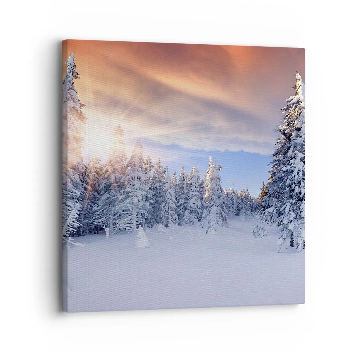 Schilderen op canvas - Het sneeuwspektakel van de natuur - 30x30 cm