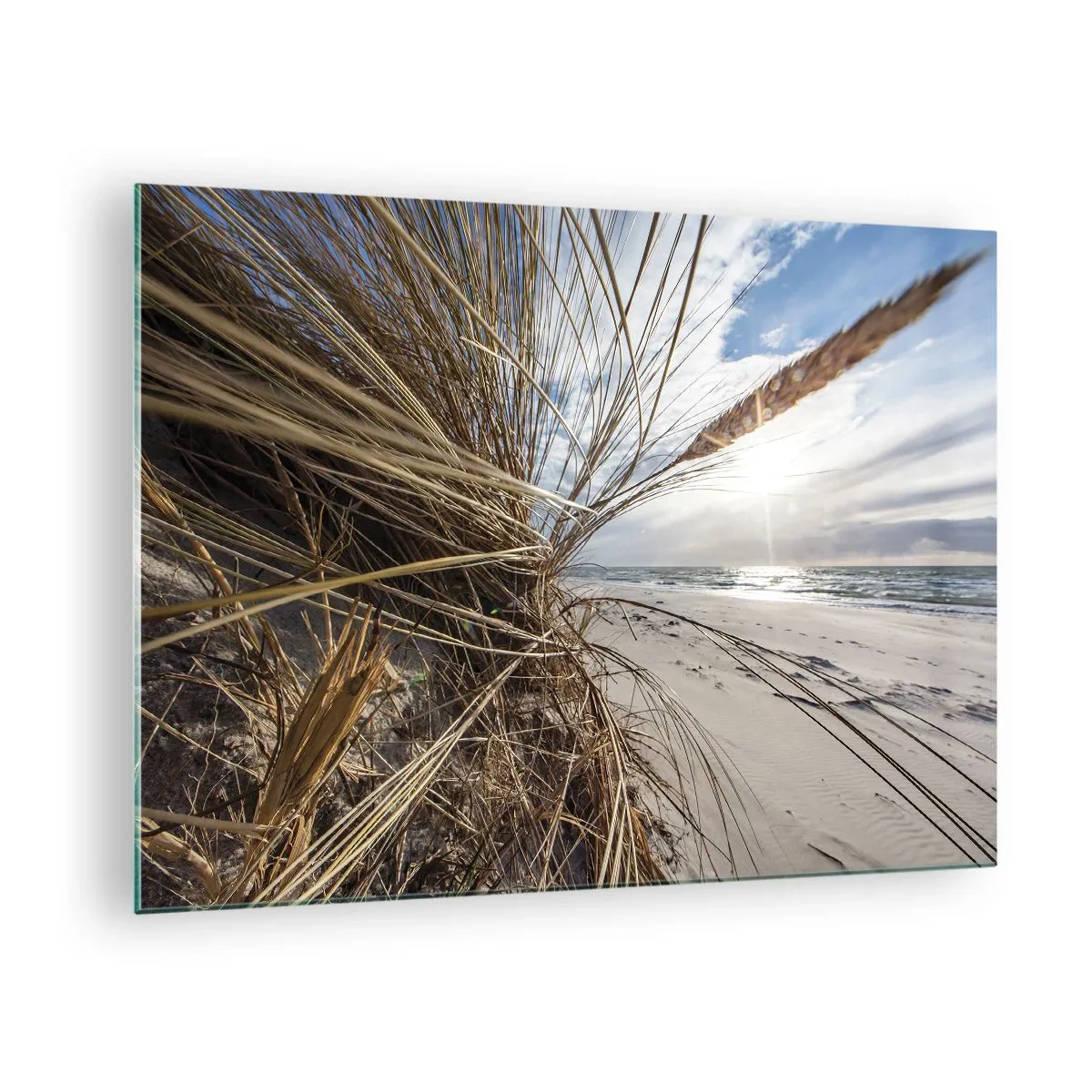 Schilderen op glas - Gouden gras tegen de achtergrond van een zandstrand en de zee - 70x50cm - Een ontmoeting van de elementen - Moderne wanddecoratie voor woonkamer en slaapkamer ARTTOR