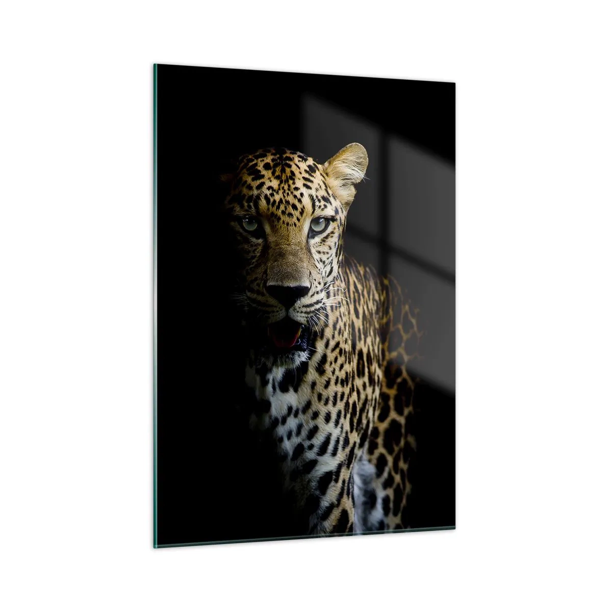 Schilderen op glas - Donkere schoonheid - 50x70 cm