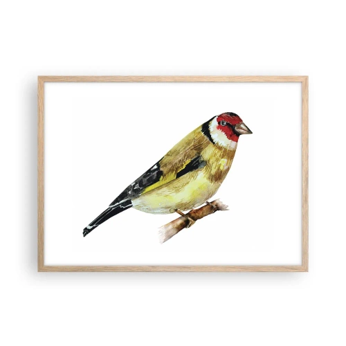 Een poster in een licht eiken lijst - Vogel portret - 70x50 cm