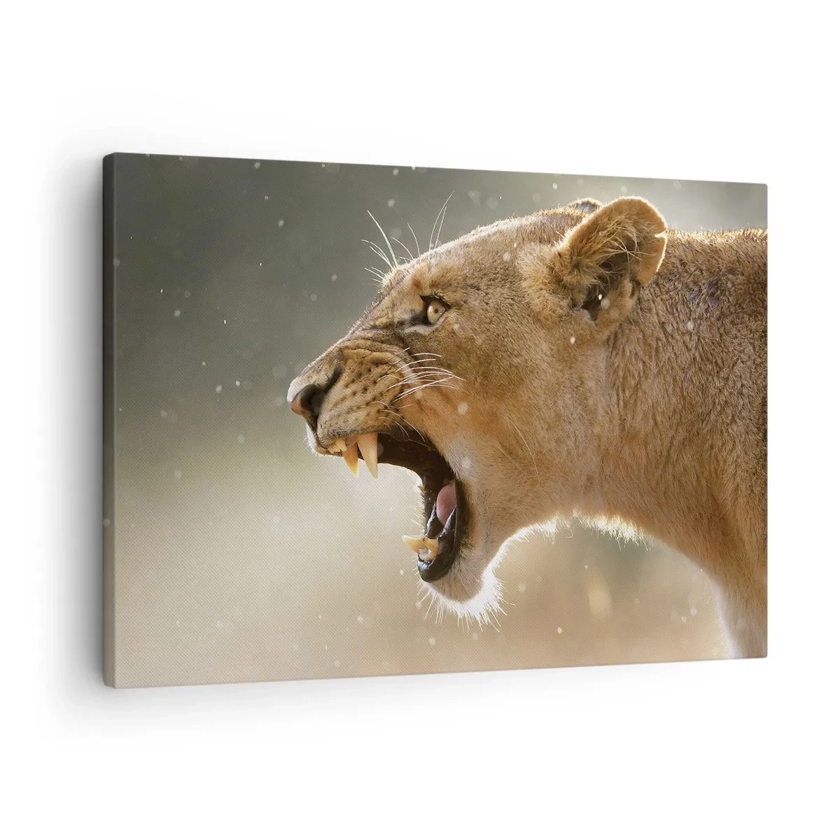 Schilderen op canvas - Portret van een brullende leeuwin in natuurlijk licht - 70x50cm - Probeer niet te luisteren - Moderne wanddecoratie voor woonkamer en slaapkamer ARTTOR