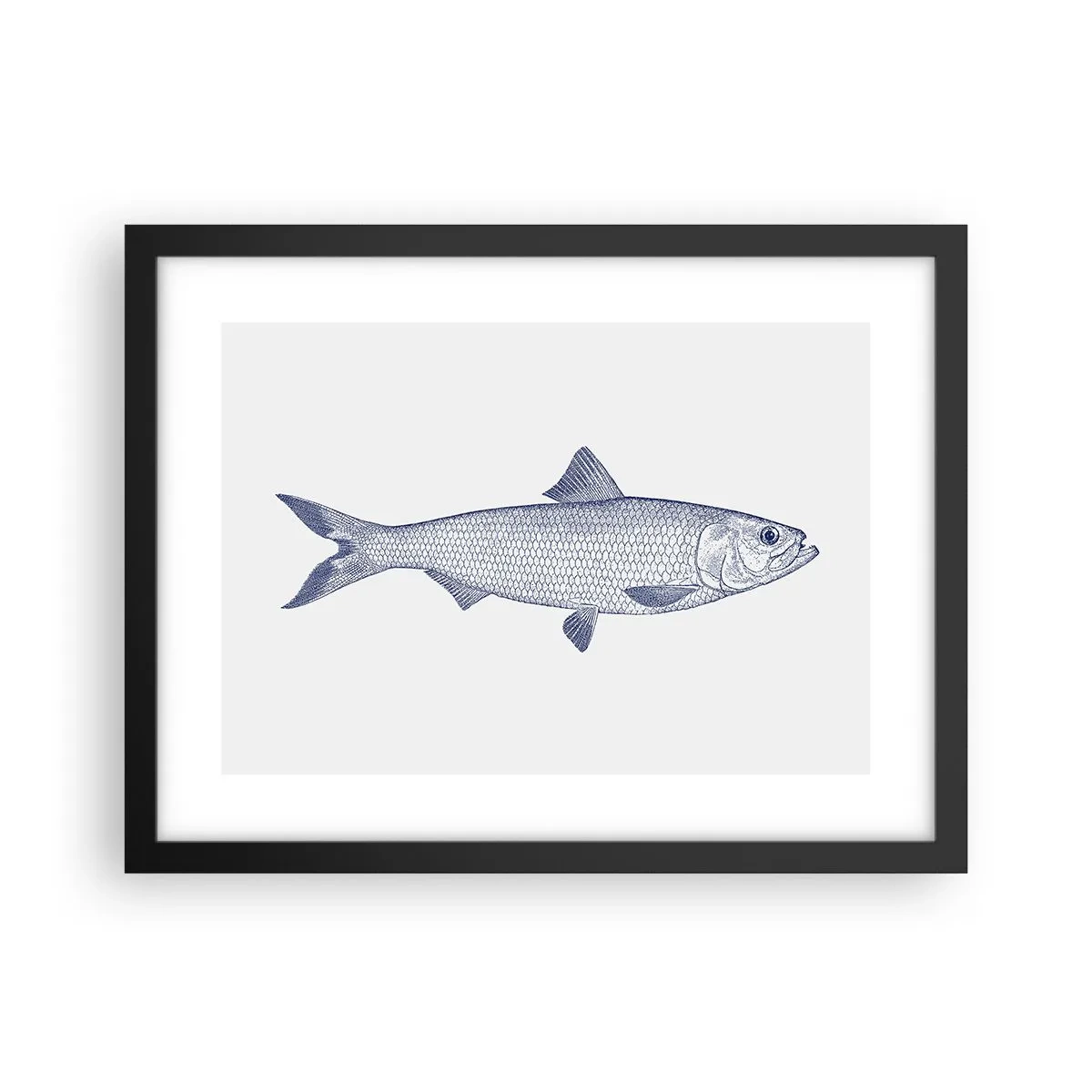 Poster in een zwarte lijst - Groeten uit de noordelijke zeeën - 40x30 cm