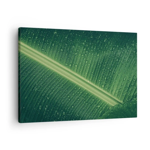 Schilderen op canvas - Een groen blad met waterdruppels op het oppervlak - 70x50cm - De structuur van groen - Moderne wanddecoratie voor woonkamer en slaapkamer ARTTOR