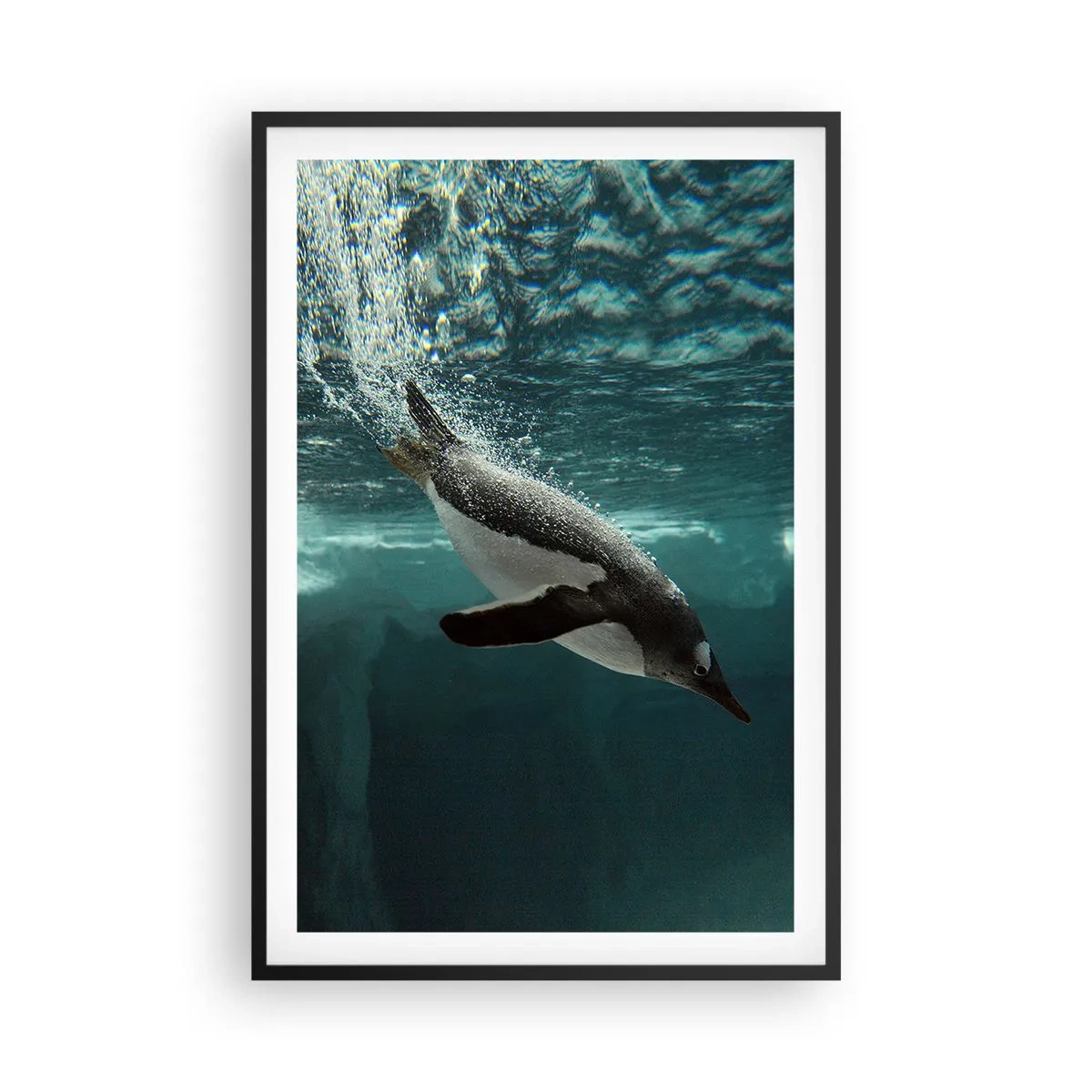 Poster in een zwarte lijst - Welkom in mijn wereld - 61x91 cm