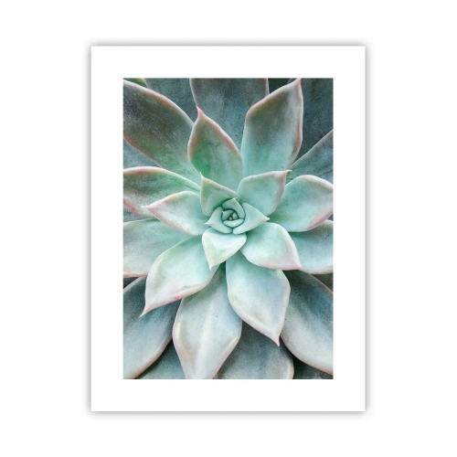 Poster - Het hart van de woestijn - 30x40 cm